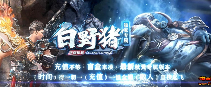 ��Ұ��ר��һ�����贫�浥���浥ְҵ�� GOM ����