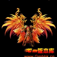 [Gm�汾��]�·��ز�-��ʱ����װ�޶����.��Ч