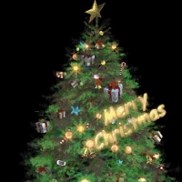 [Gm�汾��]NPC�ز�-ʥ����һ��